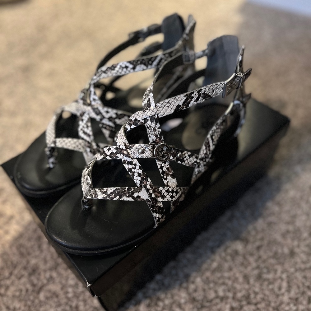 GBG Los Angeles Women's Gladiator Sandal Size 6.5